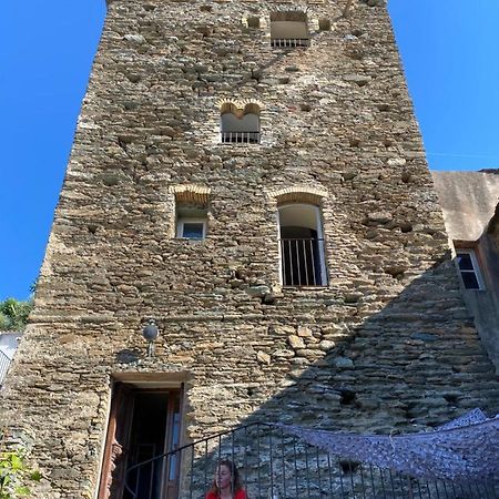 Torra Di Ciocce Bed & Breakfast Pino Exterior foto